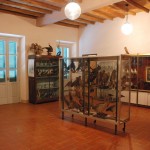 http://www.fiumeoglio.it/wp-content/uploads/2015/08/museo-degli-uccelli-impagliati-acqualunga-3-150x150.jpg